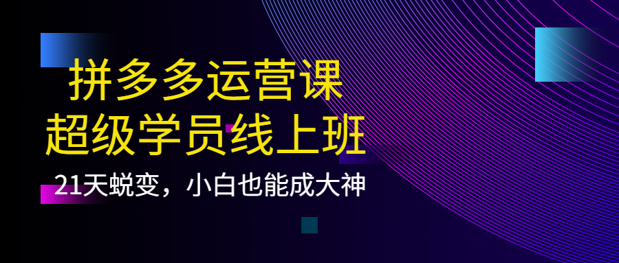 拼多多运营课：超级学员线上班，21天蜕变，小白也能成大神-金创谷