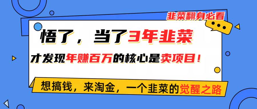 悟了，当了3年韭菜，才发现网赚圈年赚100万的核心是卖项目，含泪分享！-金创谷