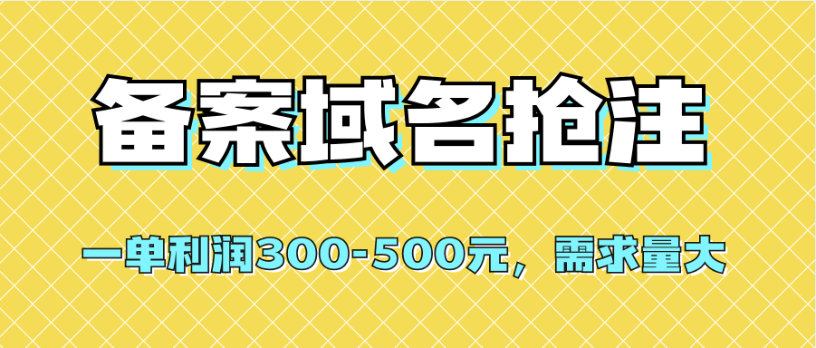 【全网首发】备案域名抢注，一单利润300-500元，需求量大-金创谷