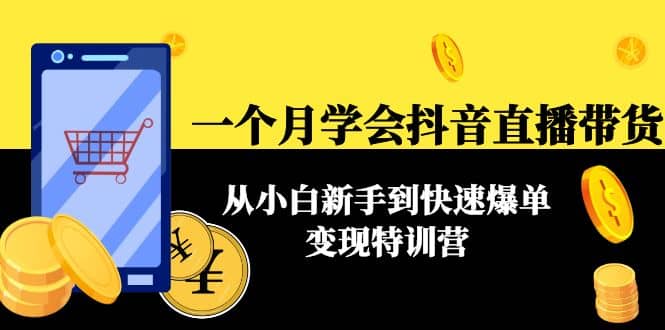 一个月学会抖音直播带货：从小白新手到快速爆单变现特训营(63节课)-金创谷