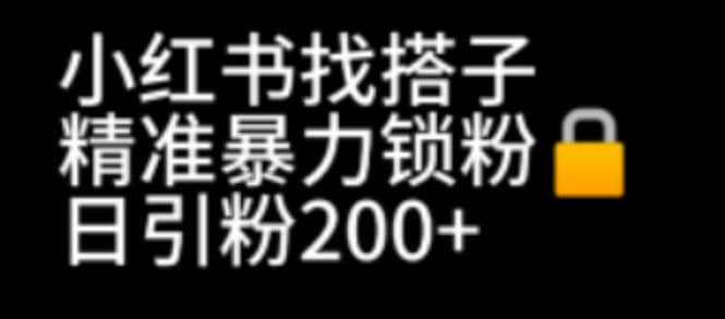 小红书找搭子暴力精准锁粉+引流日引200+精准粉-金创谷