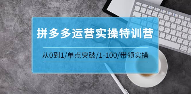 拼多多运营实操特训营：从0到1/单点突破/1-100/带领实操 价值2980元-金创谷