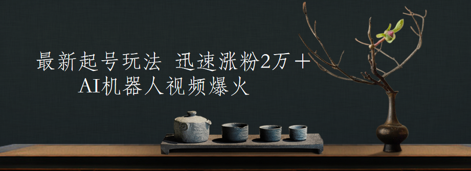 最新起号玩法，AI机器人视频爆火，迅速涨粉2万＋-金创谷