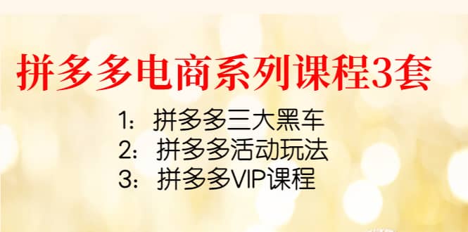 拼多多电商系列课程3套：拼多多三大黑车+拼多多活动玩法+拼多多VIP课程-金创谷