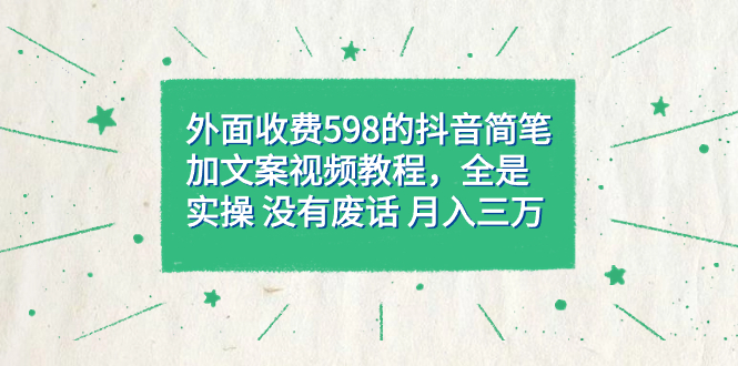 外面收费598抖音简笔加文案教程，全是实操 没有废话 月入三万（教程+资料）-金创谷