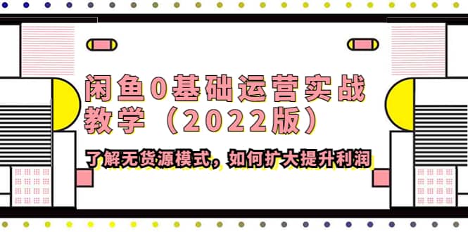 闲鱼0基础运营实战教学（2022版）了解无货源模式，如何扩大提升利润-金创谷