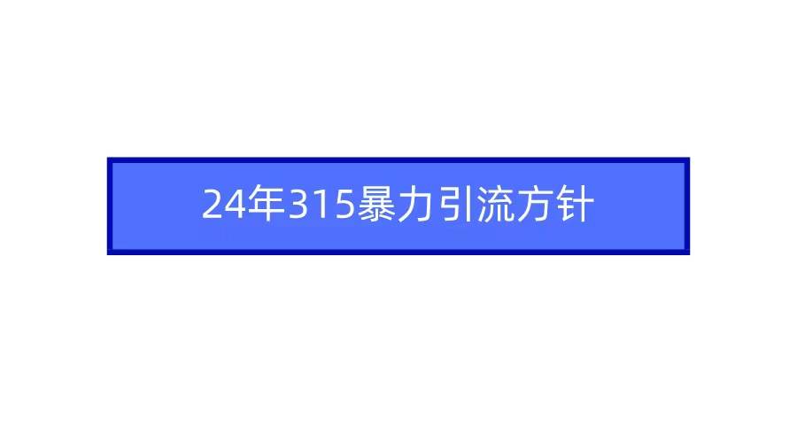 2024年315暴力引流方针-金创谷