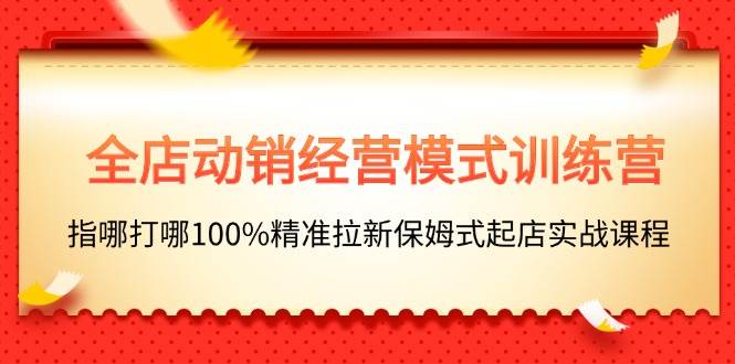 全店动销-经营模式训练营，指哪打哪100%精准拉新保姆式起店实战课程-金创谷
