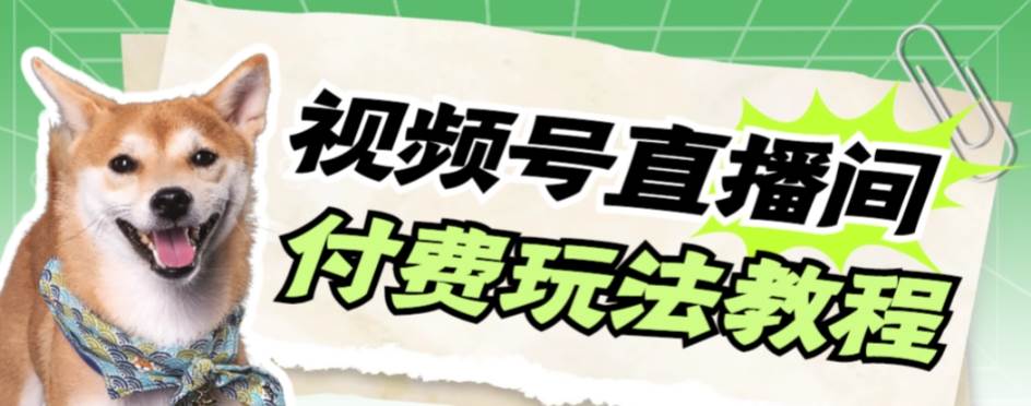 视频号美女付费无人直播，轻松日入500+【详细玩-金创谷