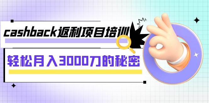 cashback返利项目培训：轻松月入3000刀的秘密（8节课）-金创谷