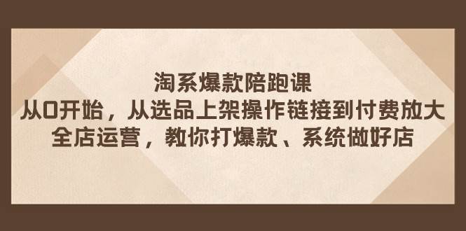 淘系爆款陪跑课 从选品上架操作链接到付费放大 全店运营 打爆款 系统做好店-金创谷