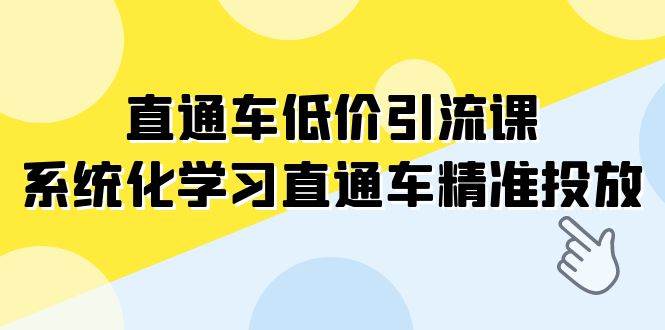 直通车-低价引流课，系统化学习直通车精准投放（14节课）-金创谷