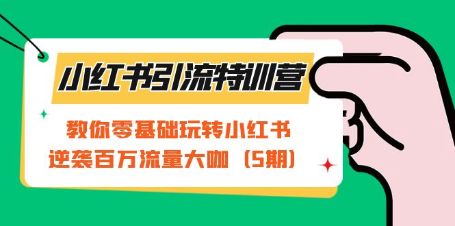 小红书引流特训营-第5期：教你零基础玩转小红书，逆袭百万流量大咖-金创谷