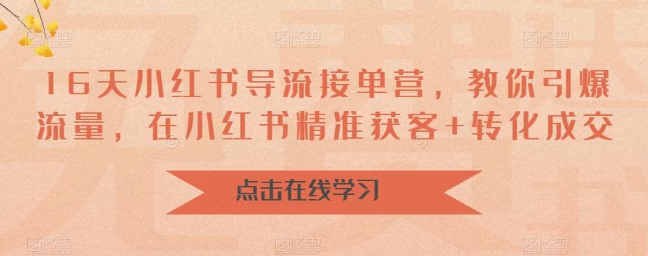 16天-小红书 导流接单营，教你引爆流量，在小红书精准获客+转化成交-金创谷