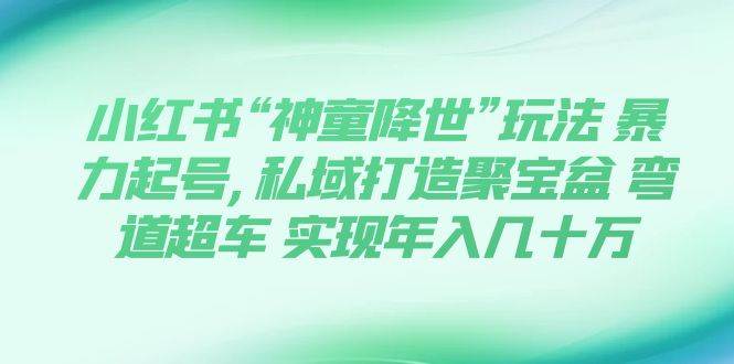 小红书“神童降世”玩法 暴力起号,私域打造聚宝盆 弯道超车 实现年入几十万-金创谷