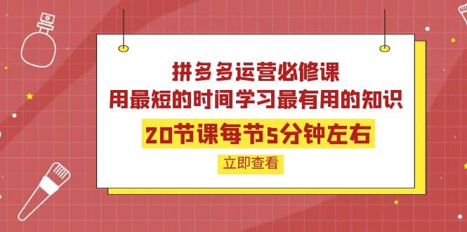 拼多多运营必修课：20节课每节5分钟左右，用最短的时间学习最有用的知识-金创谷