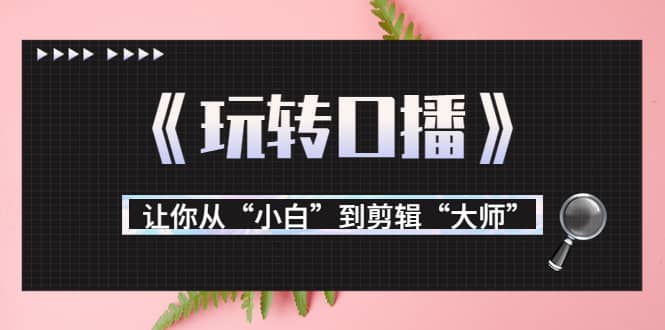 月营业额700万+大佬教您《玩转口播》让你从“小白”到剪辑“大师”-金创谷
