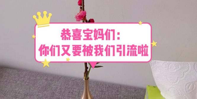 恭喜宝妈们：你们又要被我们引流了（教程+222g资料）-金创谷
