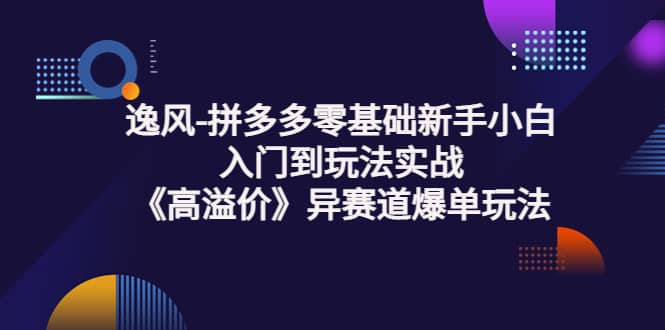 拼多多零基础新手小白入门到玩法实战《高溢价》异赛道爆单玩法实操课-金创谷
