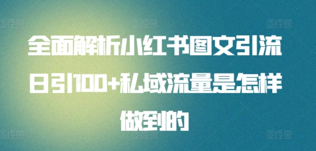 全面解析小红书图文引流日引100私域流量是怎样做到的-金创谷