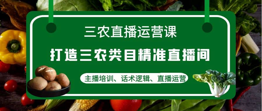三农直播运营课：打造三农类目精准直播间，主播培训、话术逻辑、直播运营-金创谷