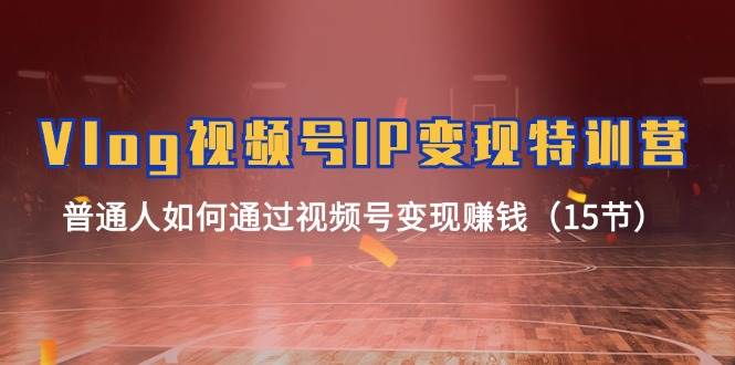 Vlog 视频号IP变现特训营，普通人如何通过视频号变现赚钱（15节）-金创谷