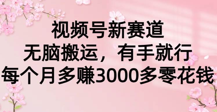 视频号新赛道，无脑搬运，有手就行，每个月多赚3000多零花钱-金创谷