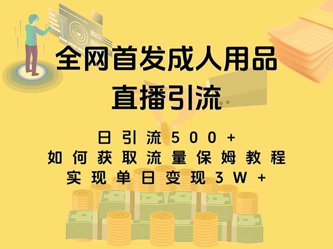 最新全网独创首发，成人用品直播引流获客暴力玩法，单日变现3w保姆级教程-金创谷