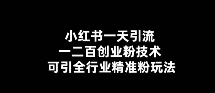 【引流必备】小红书一天引流一二百创业粉技术，可引全行业精准粉玩法-金创谷