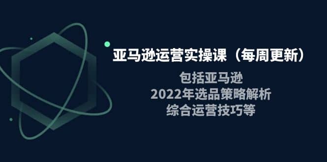 亚马逊运营实操课（每周更新）包括亚马逊2022选品策略解析，综合运营技巧等-金创谷