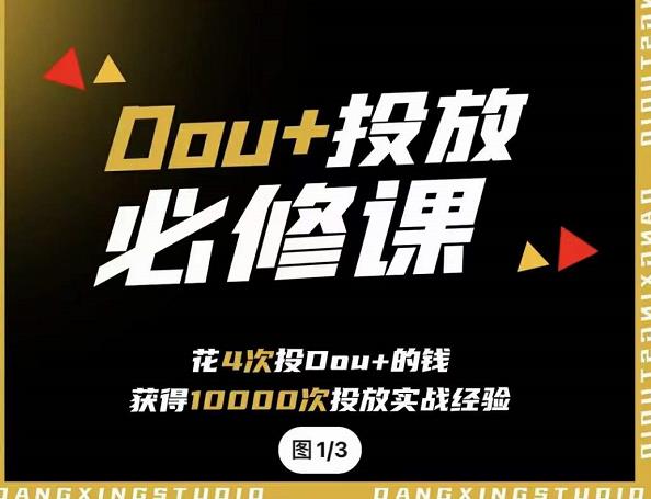 代同学DOU+投放训练营，用付费流量撬动大额自然流量，过得超额变现转化-金创谷