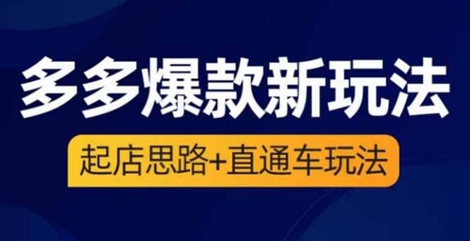 2023拼多多爆款·新玩法：起店思路+直通车玩法（3节精华课）-金创谷