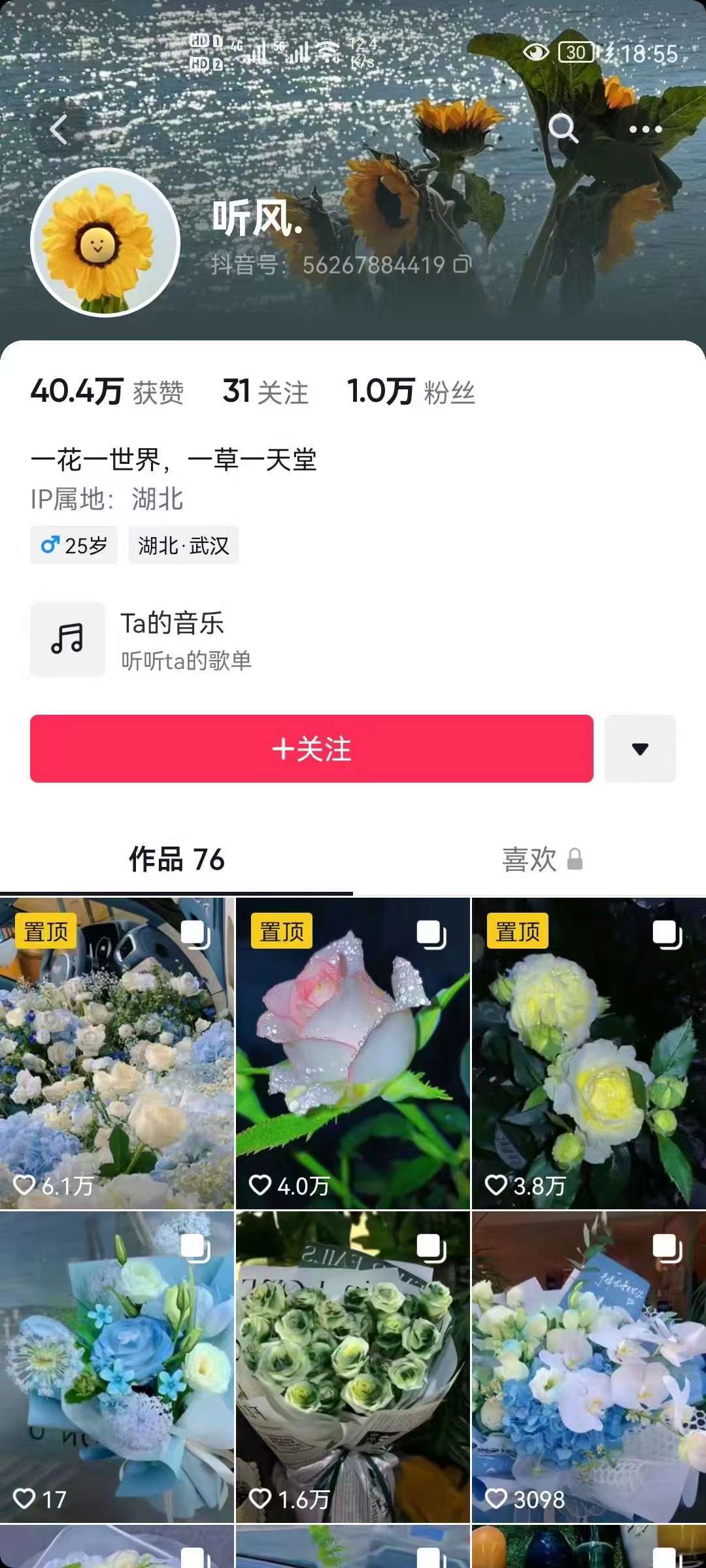 图片[2]-抖音壁纸变现项目：实战日入380+发布壁纸素材获取收益！-金创谷