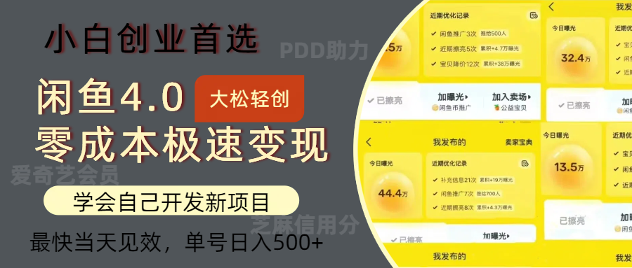 闲鱼0成本极速变现项目，多种变现方式，单号日入500+最新玩法-金创谷