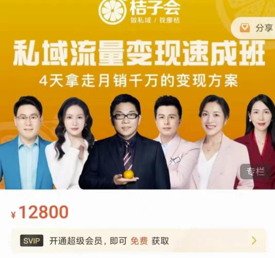 桔子会·私域流量变现速成班，4天拿走月销千万的变现方案 价值12800元-金创谷