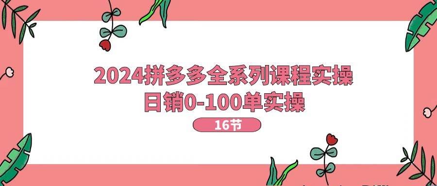 2024拼多多全系列课程实操，日销0-100单实操【16节课】-金创谷