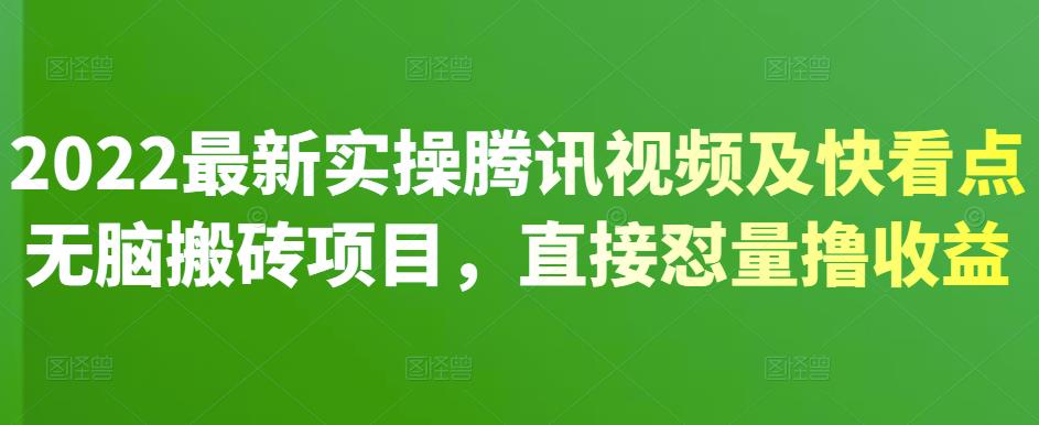 2022最新实操腾讯视频及快看点无脑搬砖项目，直接怼量撸收益-金创谷
