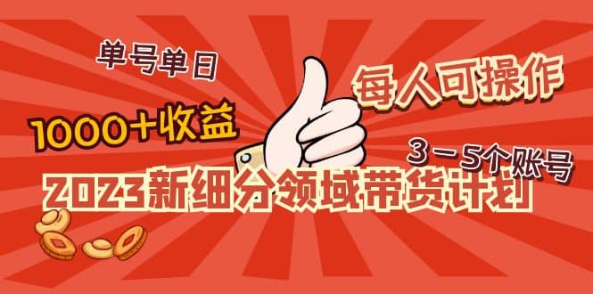 2023新细分领域带货计划：单号单日1000+收益不难，每人可操作3-5个账号-金创谷