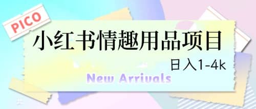 最新小红书情趣用品项目，日入1-4k-金创谷