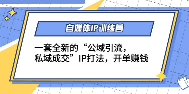 自媒体IP训练营(12+13期)一套全新的“公域引流，私域成交”IP打法-金创谷