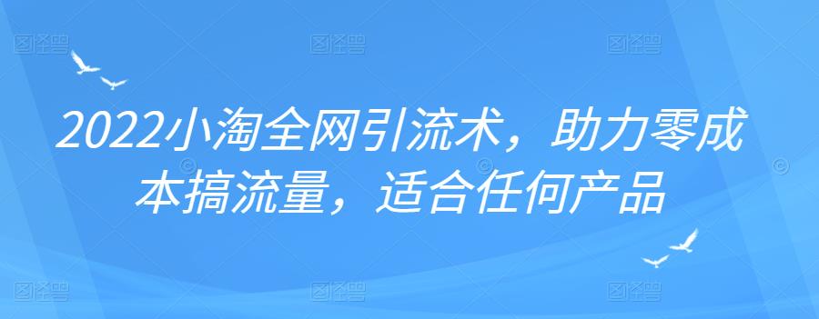 2022年小淘全网引流术，助力零成本搞流量，适合任何产品-金创谷