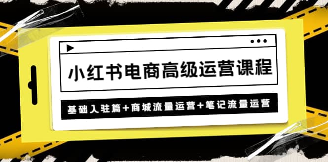 小红书电商高级运营课程：基础入驻篇+商城流量运营+笔记流量运营-金创谷