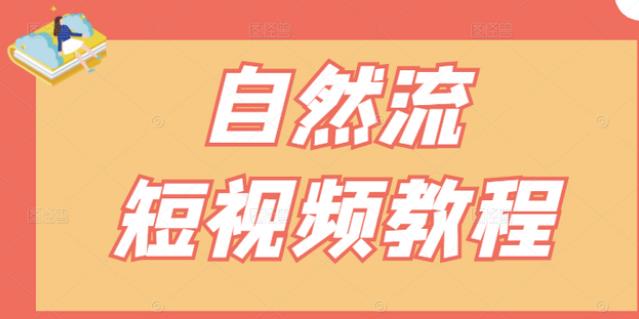 【瑶瑶短视频】自然流短视频教程，让你更快理解做自然流视频的精髓-金创谷