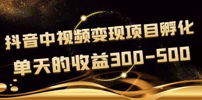 黄岛主《抖音中视频变现项目孵化》单天的收益300-500 操作简单粗暴-金创谷