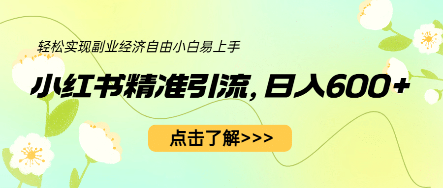 小红书精准引流，小白日入600+，轻松实现副业经济自由（教程+1153G资源）-金创谷