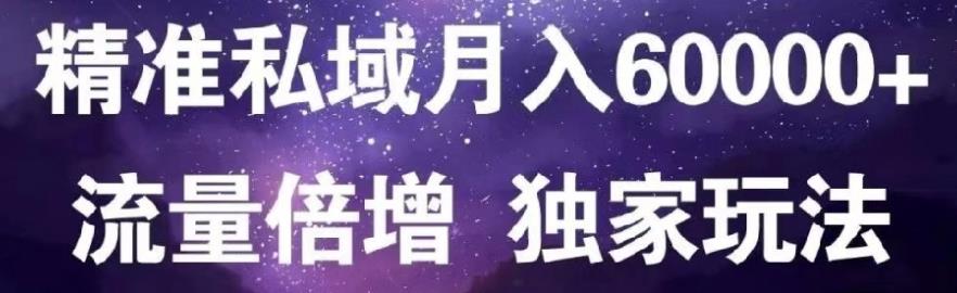原力网赚精准私域月入60000+,流量倍增独家玩法-金创谷