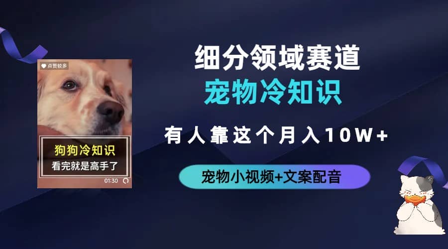 不起眼的抖音细分赛道-宠物冷知识，一段宠物视频配文案，有人靠这个月入10w-金创谷