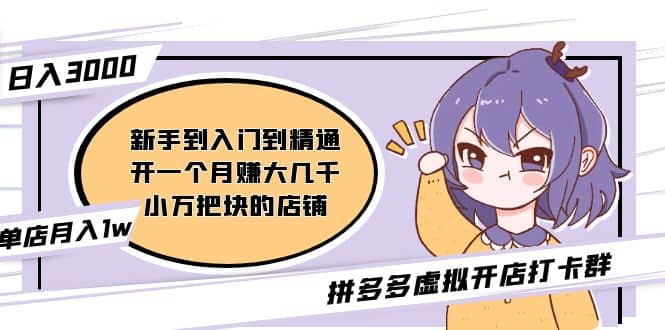 拼多多虚拟开店打卡群：新手到入门到精通-金创谷