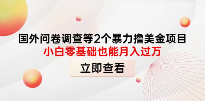 国外问卷调查等2个暴力撸美元项目，小白零基础也能月入过万-金创谷