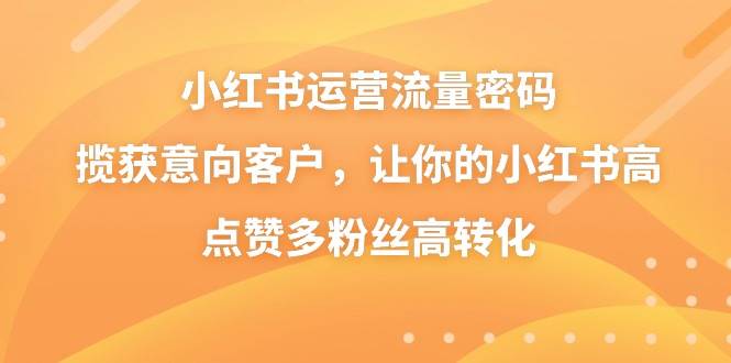 小红书运营流量密码，揽获意向客户，让你的小红书高点赞多粉丝高转化-金创谷
